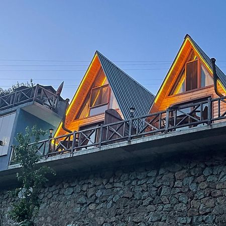 Purkinora Bungalov Çamlıhemşin Buitenkant foto