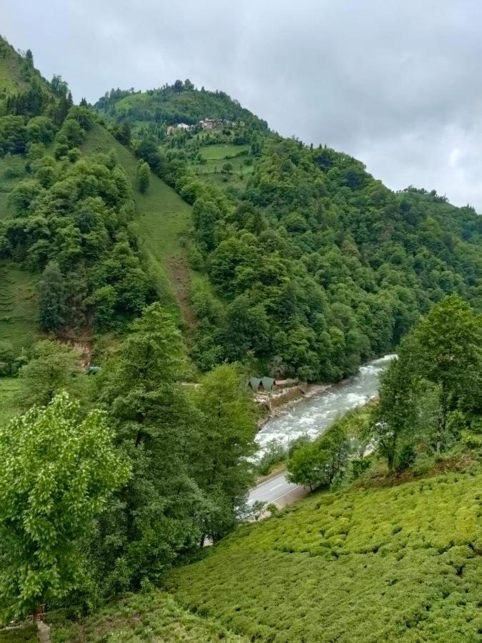 Purkinora Bungalov Çamlıhemşin Buitenkant foto