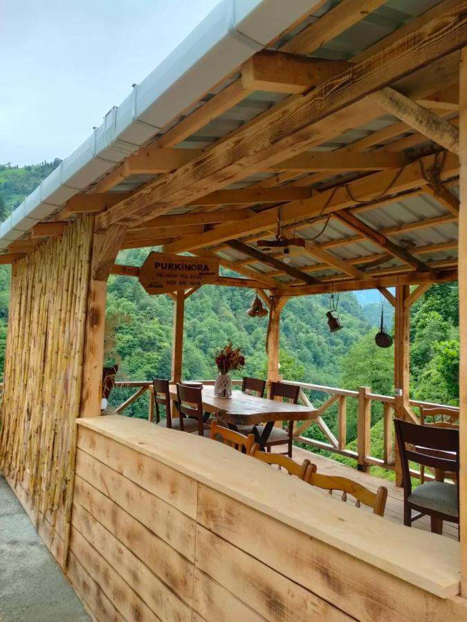 Purkinora Bungalov Çamlıhemşin Buitenkant foto