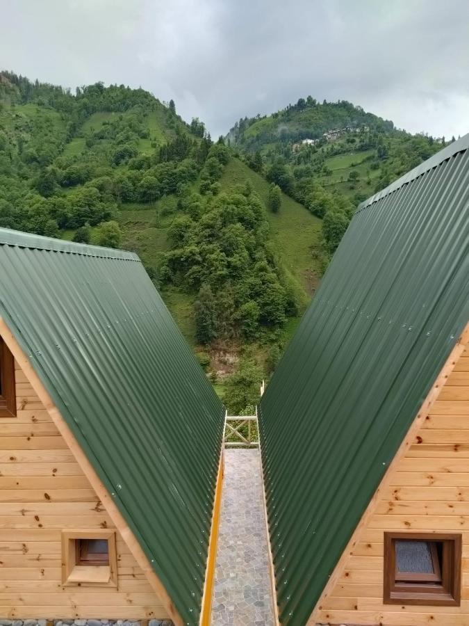 Purkinora Bungalov Çamlıhemşin Buitenkant foto