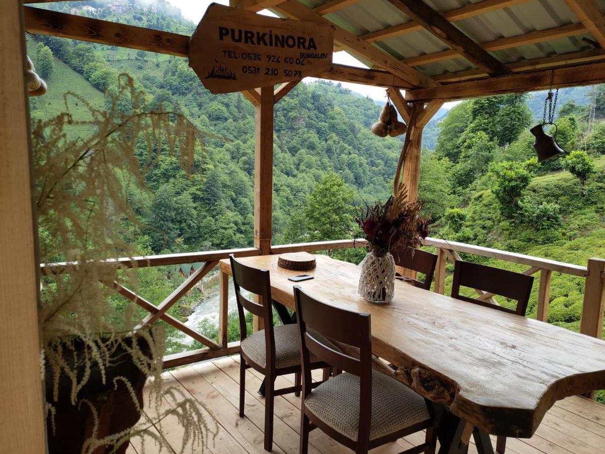 Purkinora Bungalov Çamlıhemşin Buitenkant foto