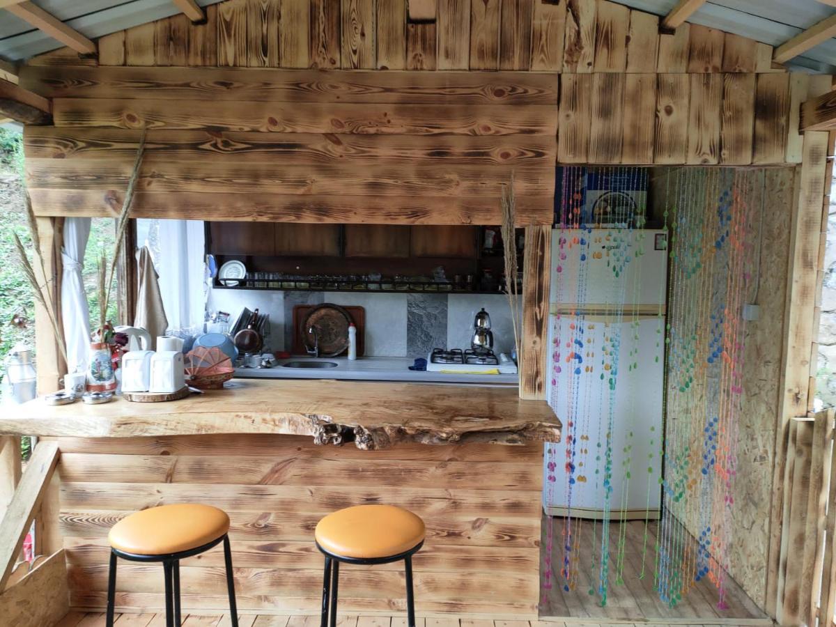 Purkinora Bungalov Çamlıhemşin Buitenkant foto