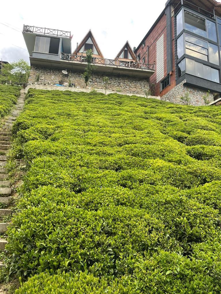 Purkinora Bungalov Çamlıhemşin Buitenkant foto
