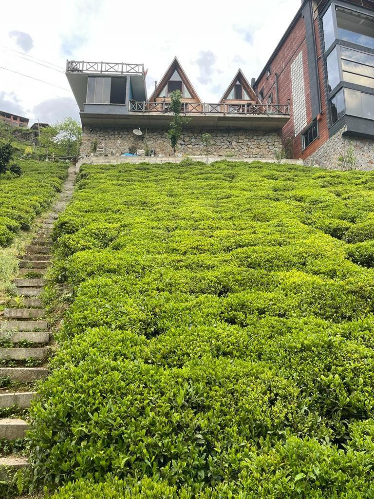 Purkinora Bungalov Çamlıhemşin Buitenkant foto