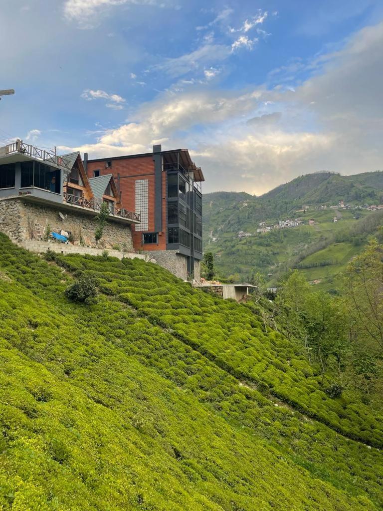 Purkinora Bungalov Çamlıhemşin Buitenkant foto