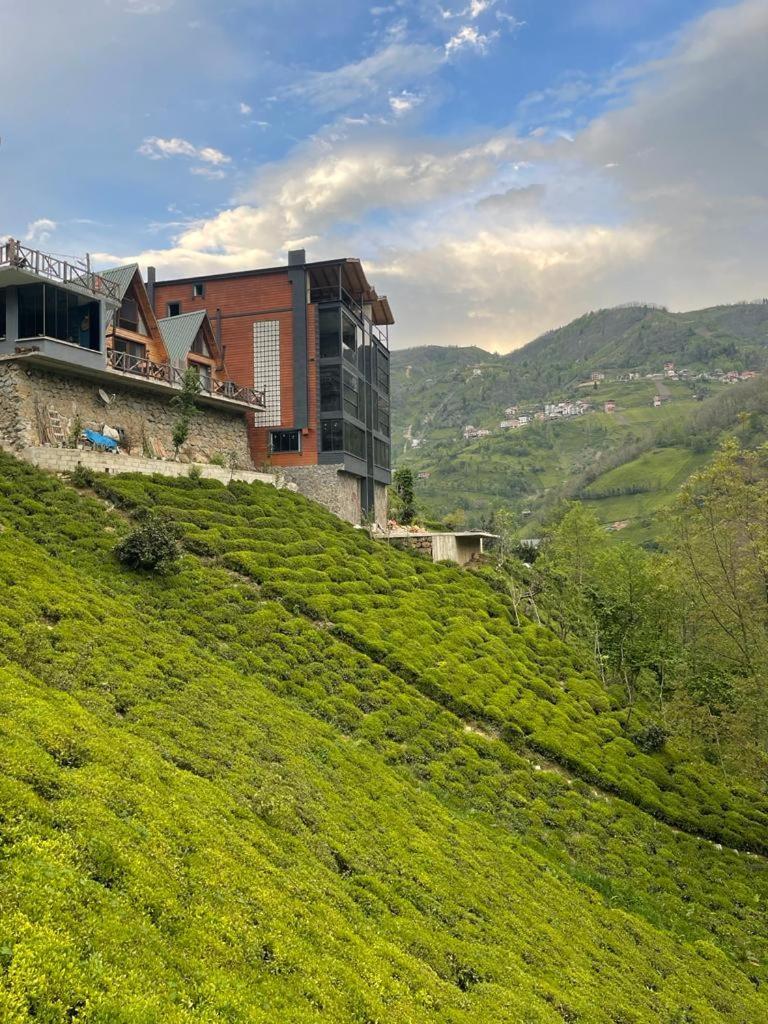 Purkinora Bungalov Çamlıhemşin Buitenkant foto