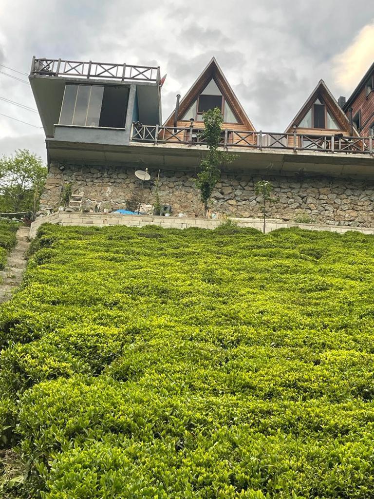 Purkinora Bungalov Çamlıhemşin Buitenkant foto